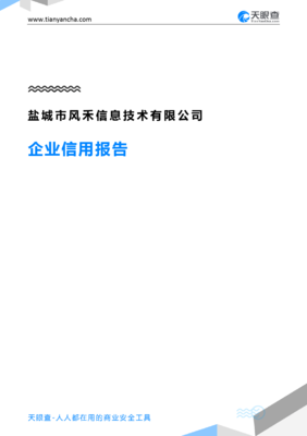 盐城市风禾信息技术有限公司企业信用报告深度解读 从工商信息到风险画像